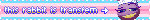 this rabbit is transfem 2